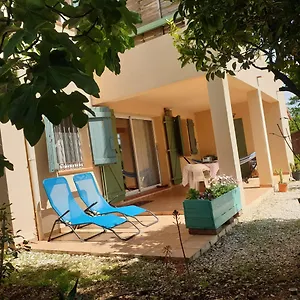 L'oliveraie Hyères
